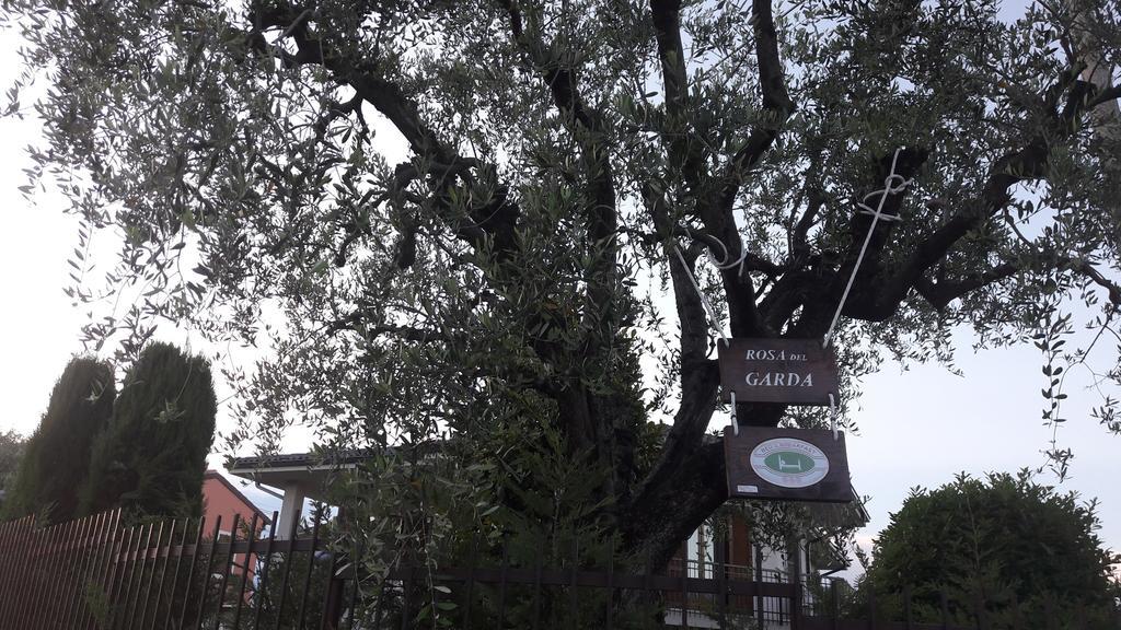 B&B Rosa Del Garda Lazise Buitenkant foto